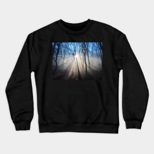 Dramatic sun rays through trees Crewneck Sweatshirt